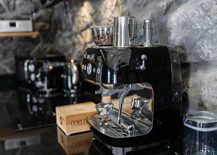 Bioma Adega - Escala Gourmet *